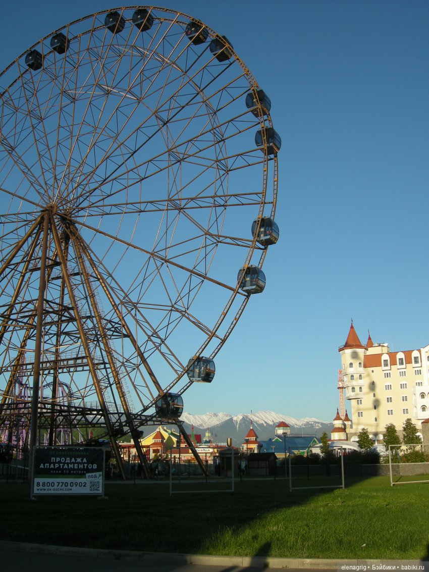 Прогулка по Сочи-парку — Туризм и путешествия: фотоотчеты из поездок