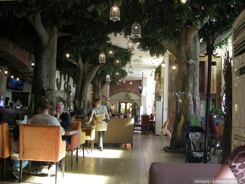 Прогулка по Сочи-парку — Туризм и путешествия: фотоотчеты из поездок