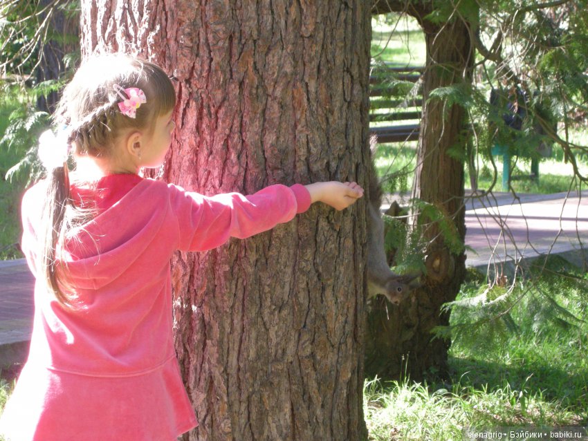 куклы Schildkrot, Шильдкрет