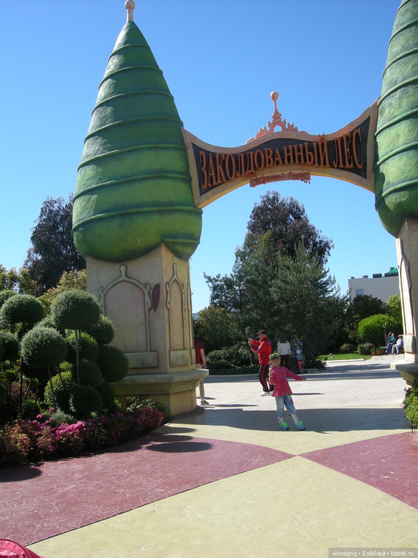 Прогулка по Сочи-парку — Туризм и путешествия: фотоотчеты из поездок