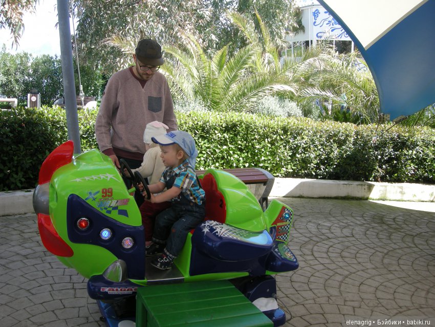 Прогулка по Сочи-парку — Туризм и путешествия: фотоотчеты из поездок