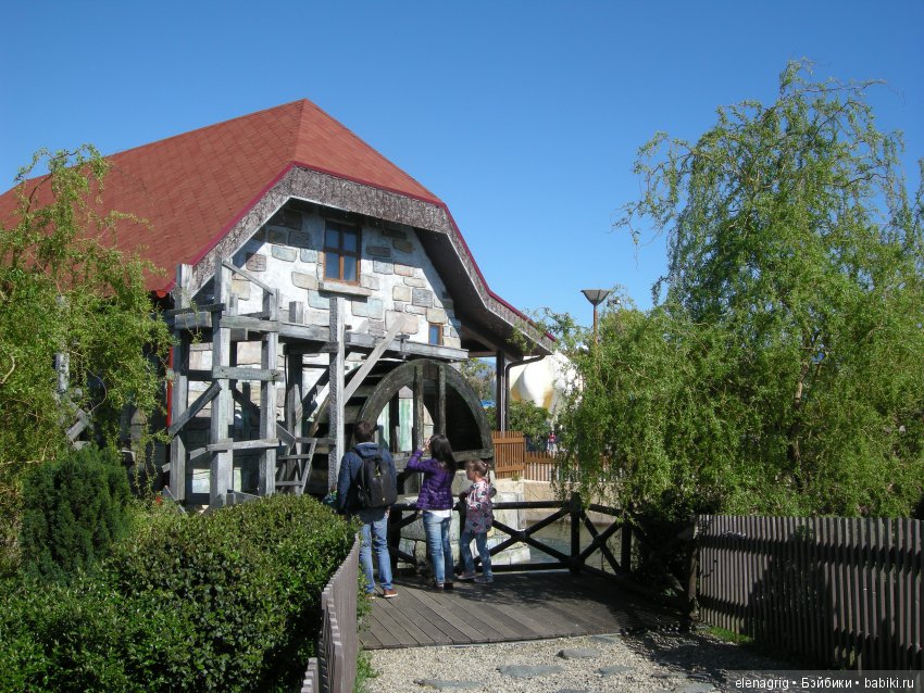 Прогулка по Сочи-парку — Туризм и путешествия: фотоотчеты из поездок