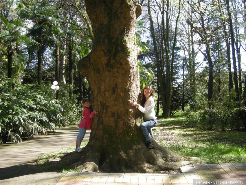 куклы Schildkrot, Шильдкрет