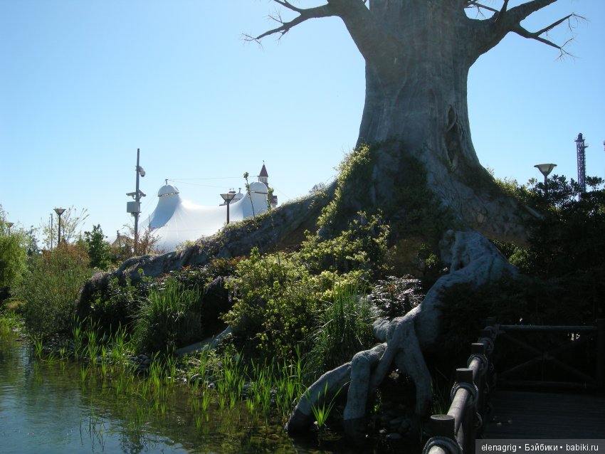 Прогулка по Сочи-парку — Туризм и путешествия: фотоотчеты из поездок