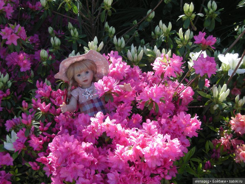 Прогулка по Сочи-парку — Туризм и путешествия: фотоотчеты из поездок