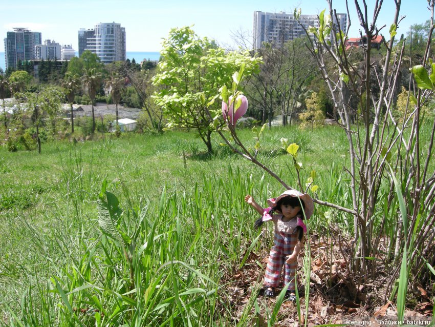 куклы Schildkrot, Шильдкрет