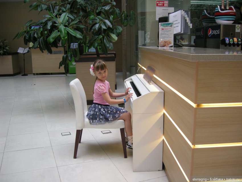 Прогулка по Сочи-парку — Туризм и путешествия: фотоотчеты из поездок (фото 2)