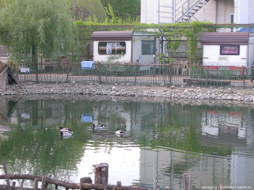 Открываем летний сезон — Туризм и путешествия: фотоотчеты из поездок