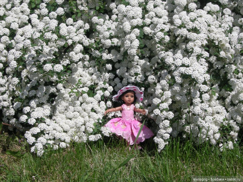 Трикси от Роберта Тоннера