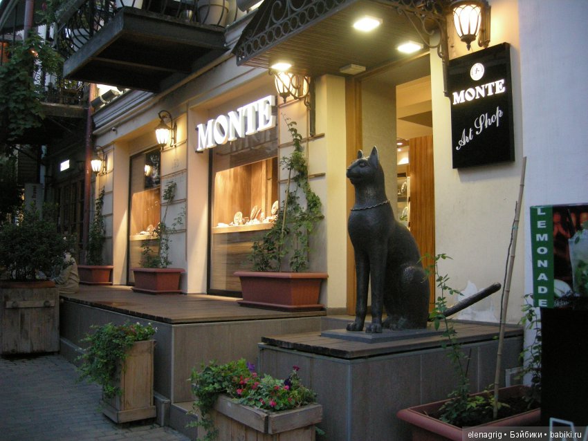 В Тбилиси по военно-грузинской дороге. Часть вторая (фото 5)