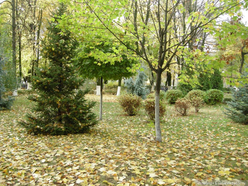 Коллекционные куклы Sonja Hartmann, Kidz'n'Cats