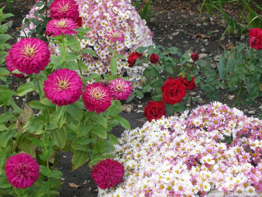 Коллекционные куклы Sonja Hartmann, Kidz'n'Cats