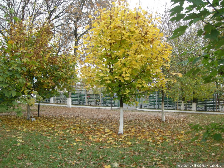 Коллекционные куклы Sonja Hartmann, Kidz'n'Cats