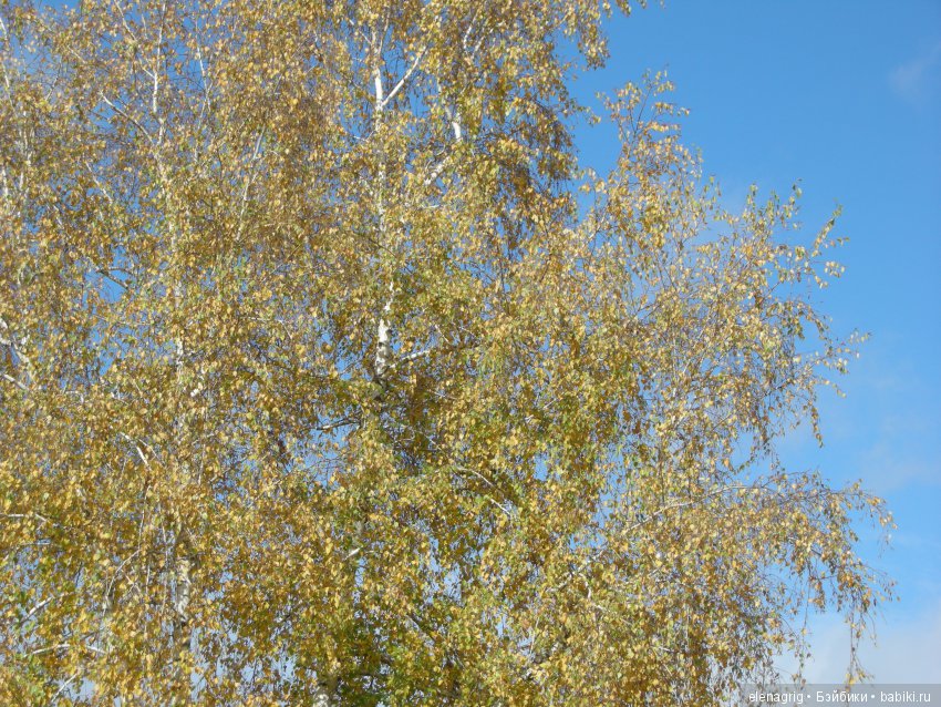 Коллекционные куклы Sonja Hartmann, Kidz'n'Cats