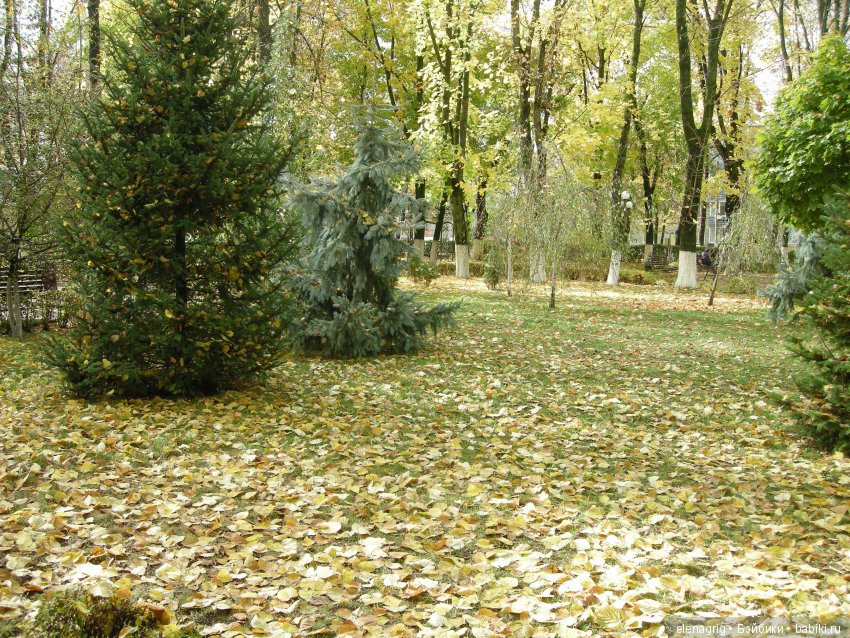 Коллекционные куклы Sonja Hartmann, Kidz'n'Cats