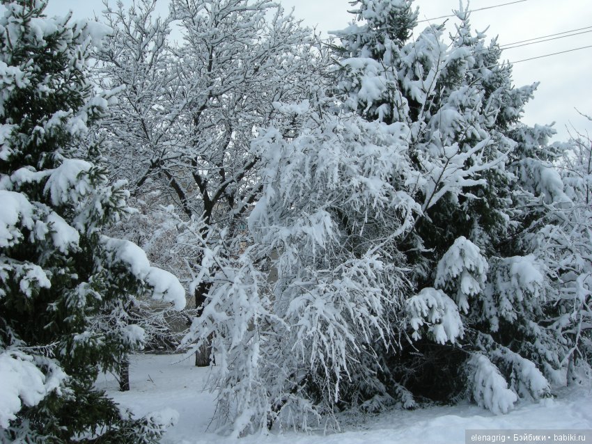 Sonja Hartmann, Kidz'n'Cats