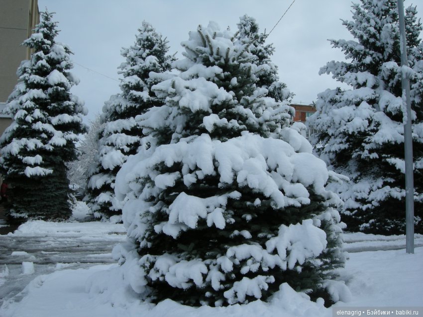 Sonja Hartmann, Kidz'n'Cats