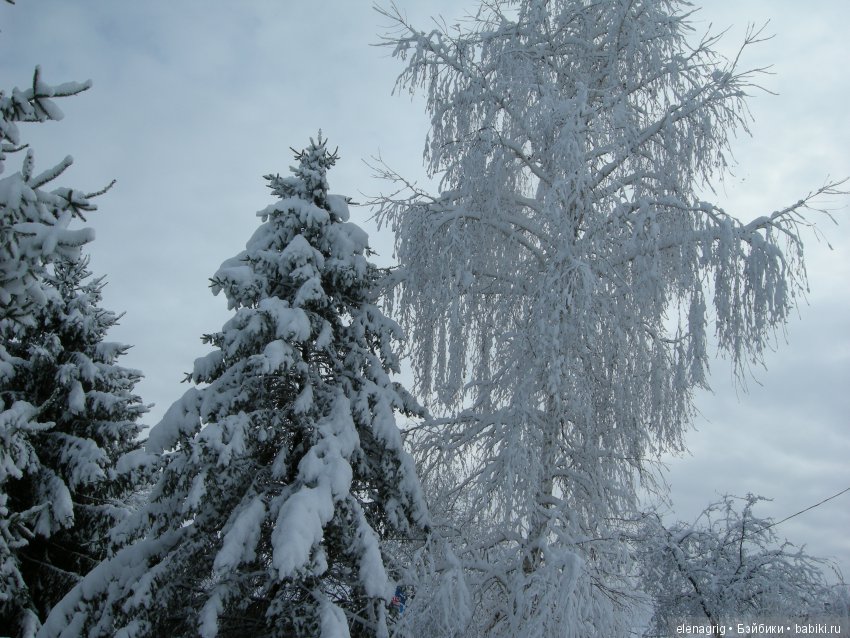 Sonja Hartmann, Kidz'n'Cats