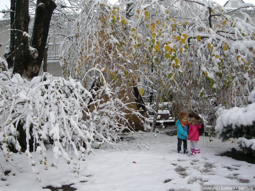 Sonja Hartmann, Kidz'n'Cats