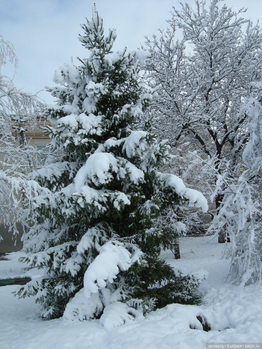 Sonja Hartmann, Kidz'n'Cats