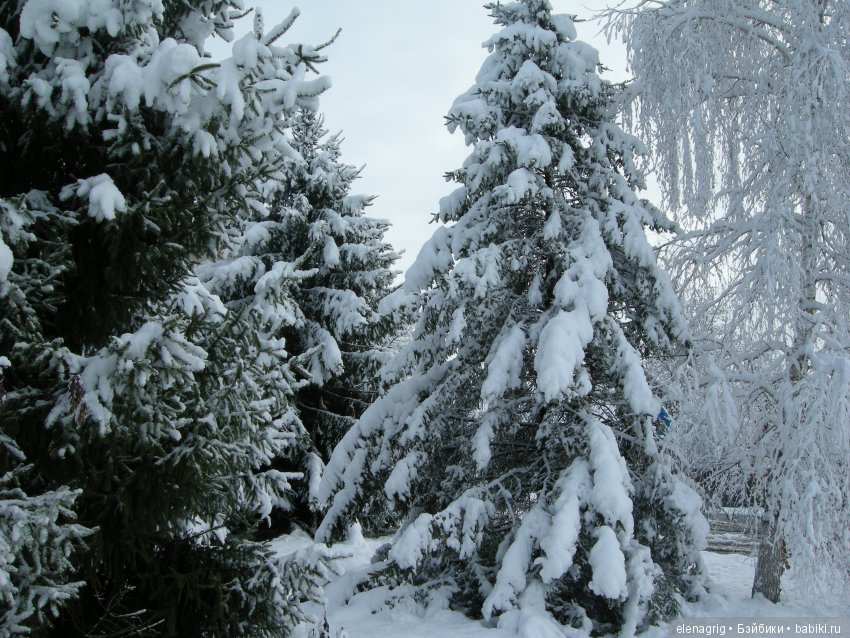 Sonja Hartmann, Kidz'n'Cats