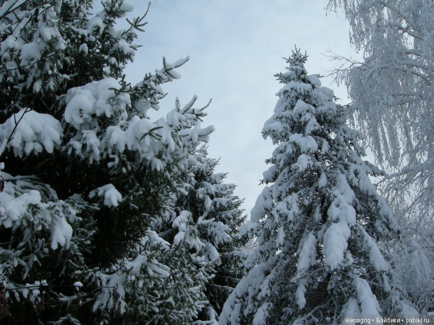 Sonja Hartmann, Kidz'n'Cats