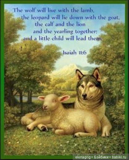 А вы слышали об эффекте Манделы (фото 4)