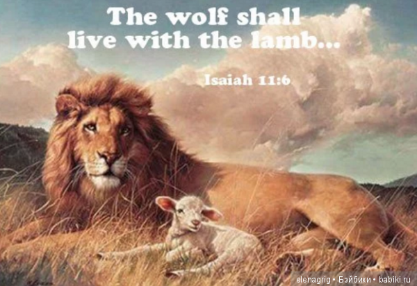 А вы слышали об эффекте Манделы (фото 3)