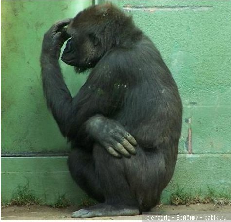 А вы слышали об эффекте Манделы