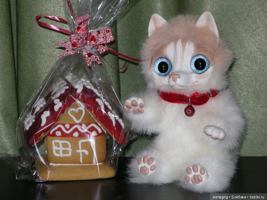 Из жизни плюшечек. У нас появился четвероногий друг (фото 3)