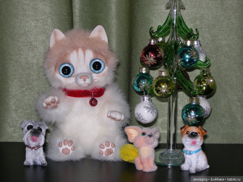 Из жизни плюшечек. У нас появился четвероногий друг (фото 5)