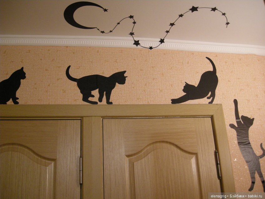 Кошки в нашем доме — В мире животных: смешные фото питомцев и зверей