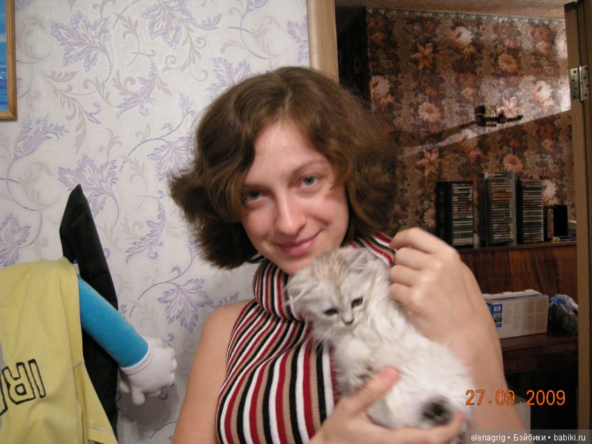 Кошки в нашем доме — В мире животных: смешные фото питомцев и зверей (фото 9)