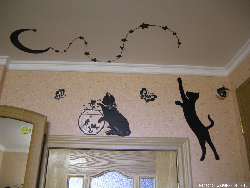 Кошки в нашем доме — В мире животных: смешные фото питомцев и зверей