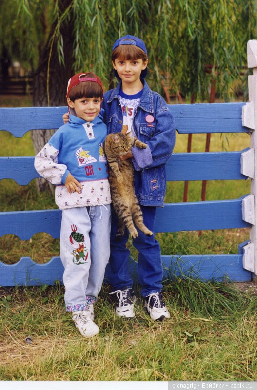 Кошки в нашем доме — В мире животных: смешные фото питомцев и зверей (фото 3)