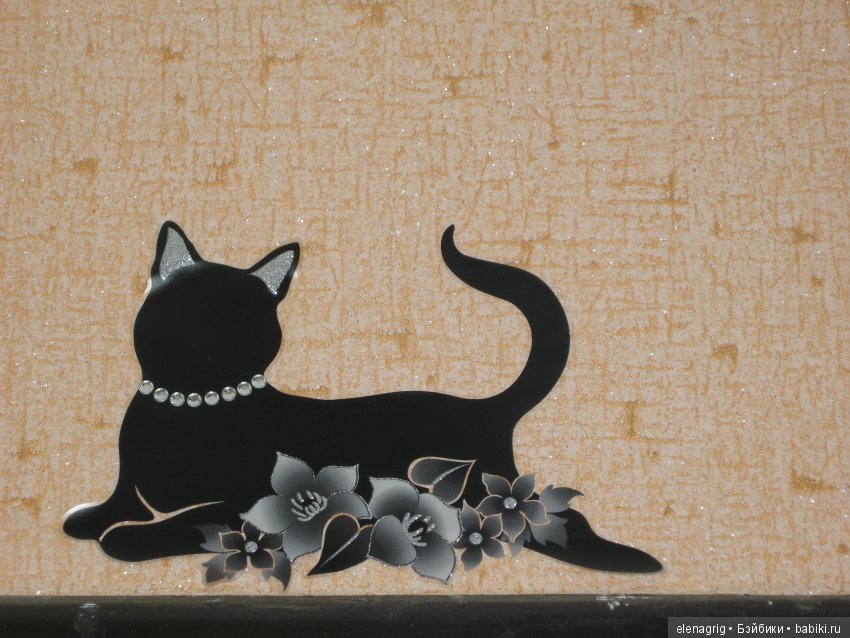 Кошки в нашем доме — В мире животных: смешные фото питомцев и зверей