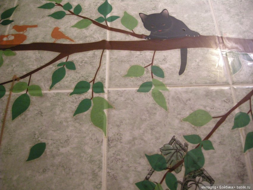 Кошки в нашем доме — В мире животных: смешные фото питомцев и зверей