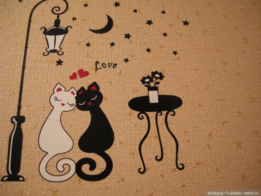 Кошки в нашем доме — В мире животных: смешные фото питомцев и зверей