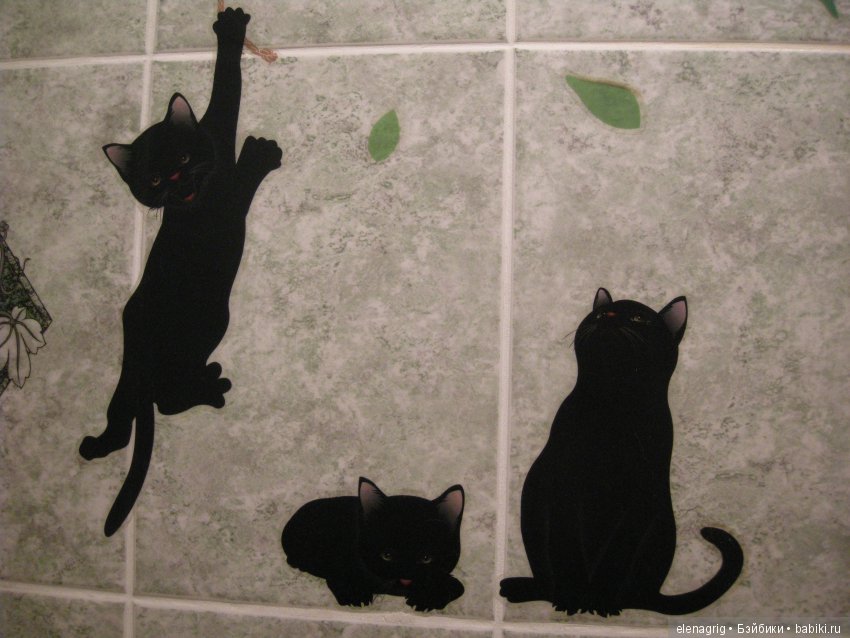 Кошки в нашем доме — В мире животных: смешные фото питомцев и зверей