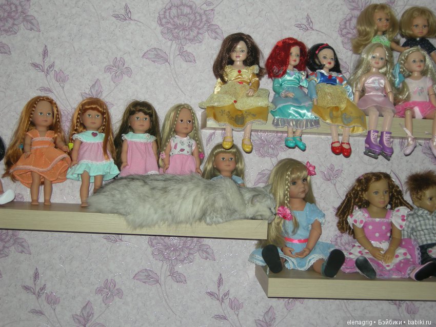 Кошки в нашем доме — В мире животных: смешные фото питомцев и зверей