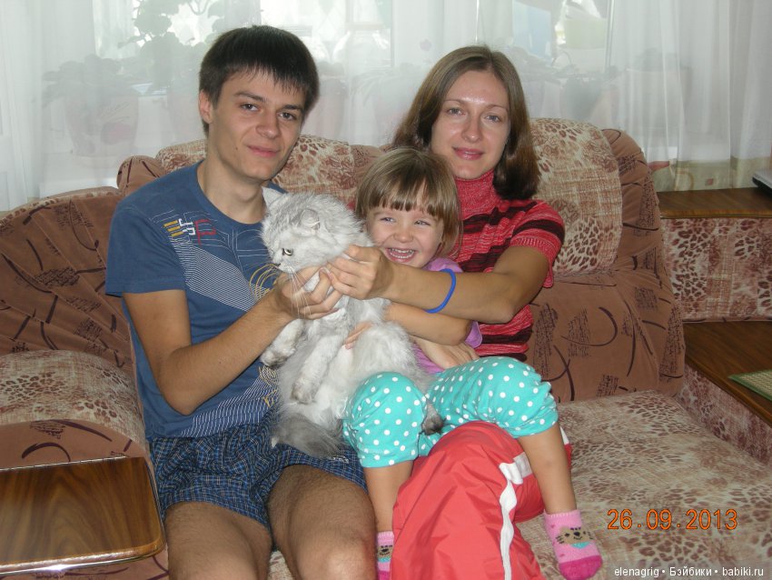 Кошки в нашем доме — В мире животных: смешные фото питомцев и зверей