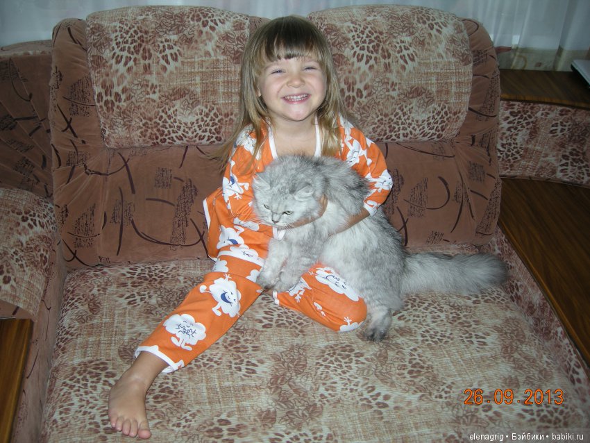 Кошки в нашем доме — В мире животных: смешные фото питомцев и зверей