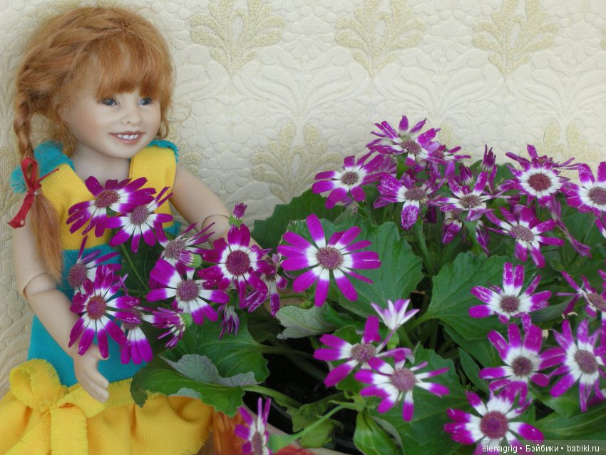 Коллекционные куклы Heidi Plusczok dolls, Хейди Плюсчок