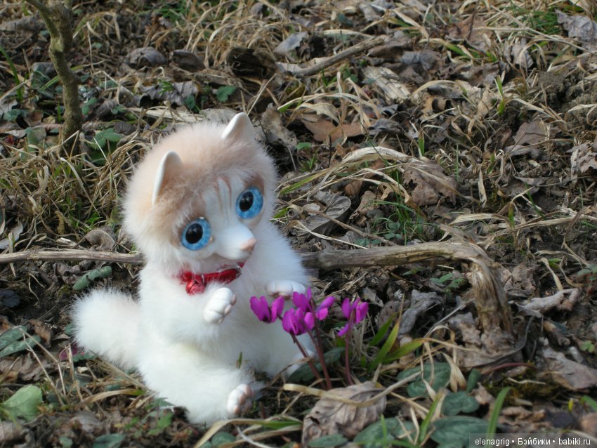 Как малыши к конкурсу готовились