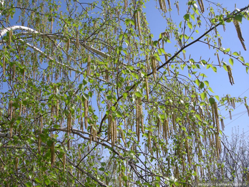 Маши и авторские игрушки