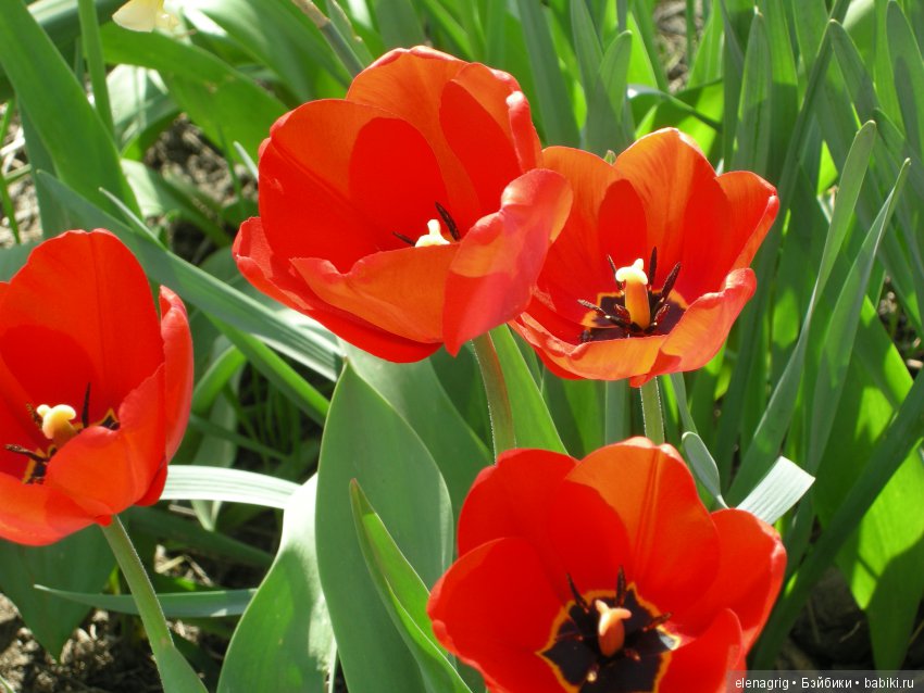 Маши и авторские игрушки