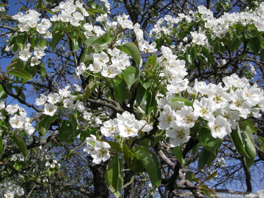 Маши и авторские игрушки