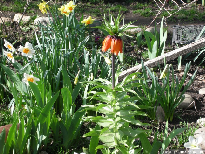 Маши и авторские игрушки