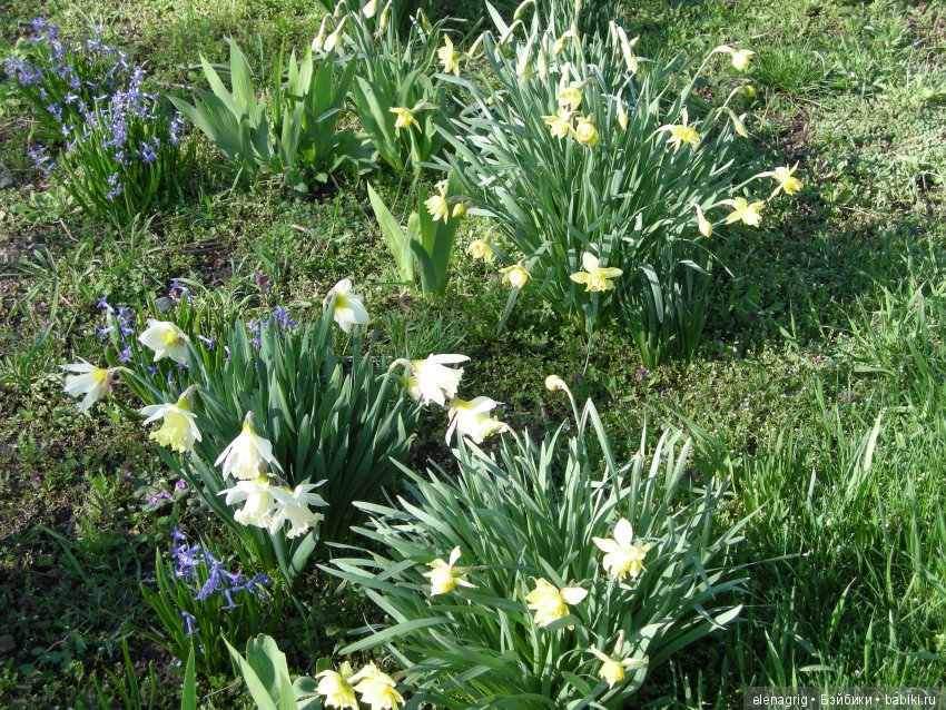 Маши и авторские игрушки