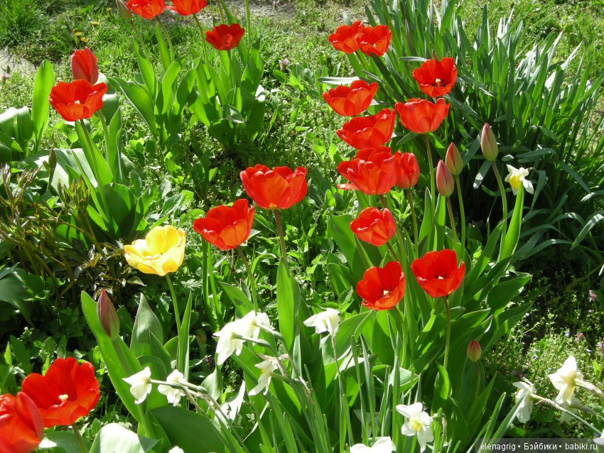 Маши и авторские игрушки